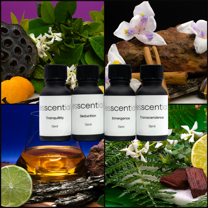 Premium Fragrance Bundle