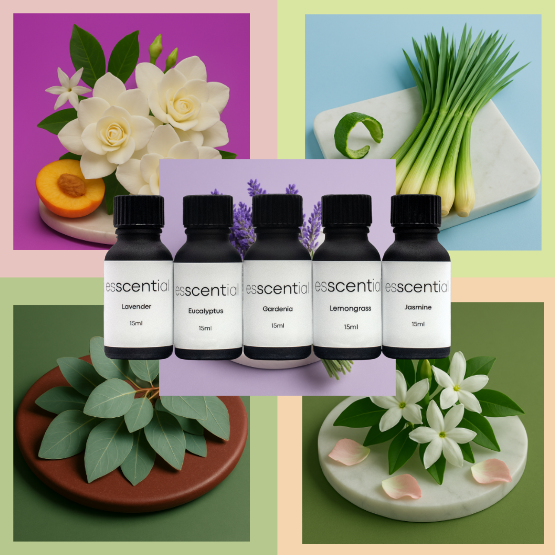 Everyday Esscentials Fragrance Bundle