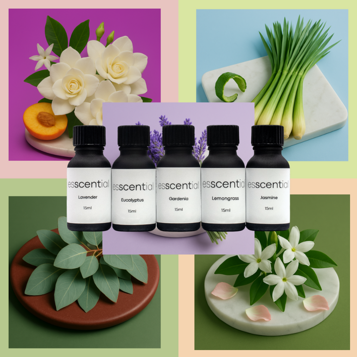 Everyday Esscentials Fragrance Bundle