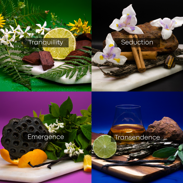 Waterless Diffuser Set (3 X FRAGRANCE OILS)