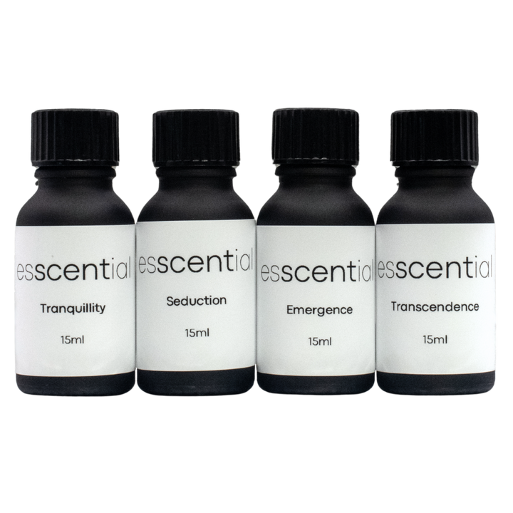 Premium Fragrance Bundle