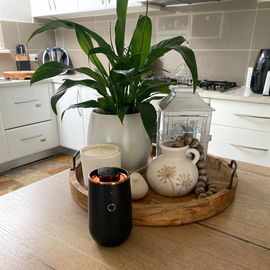 Waterless Diffuser Set (3 X FRAGRANCE OILS)